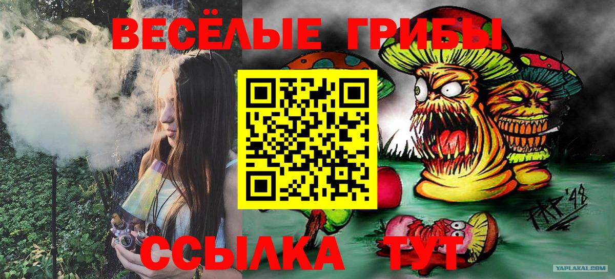Псилоцибиновые грибы GOLDEN TEACHER  Псилоцибиновые грибы GOLDEN TEACHER  Вход с VPN  где купить наркотик  Анапа 